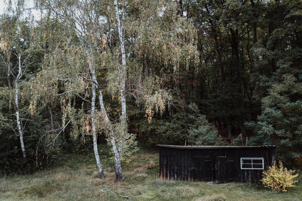 Spreewaldhaus Am Landgut - Pretschen Apartment Markische Heide Екстериор снимка